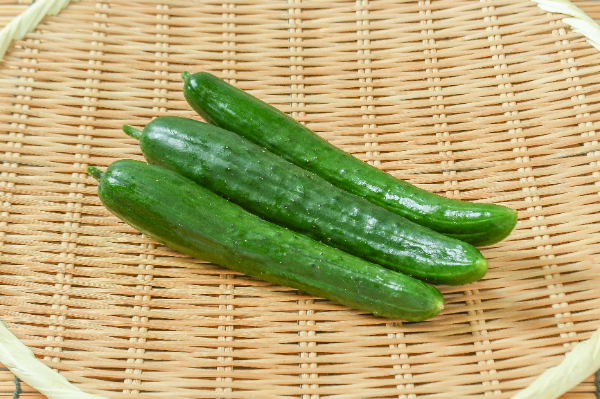 やぎ農園のきゅうり（農薬不使用）3本入