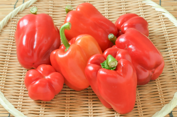 パプリカ（赤）（B）1kg