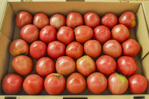 大玉トマト（2S）（34玉サイズ）