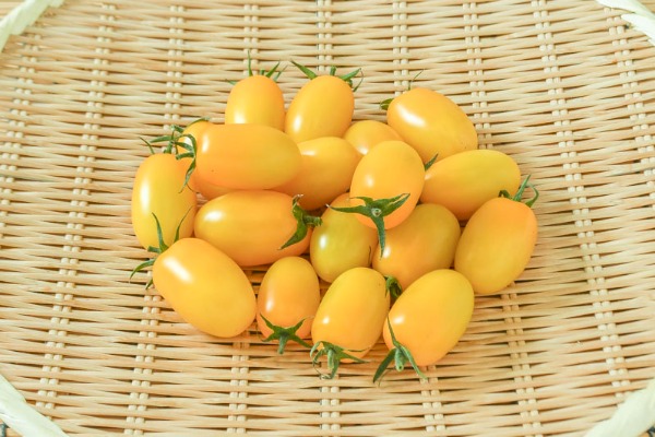 アイコトマト（黄）（L）500gr