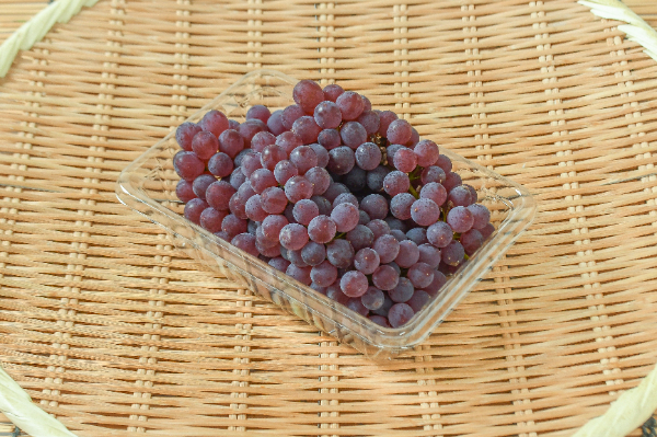 デラウェア　400gr