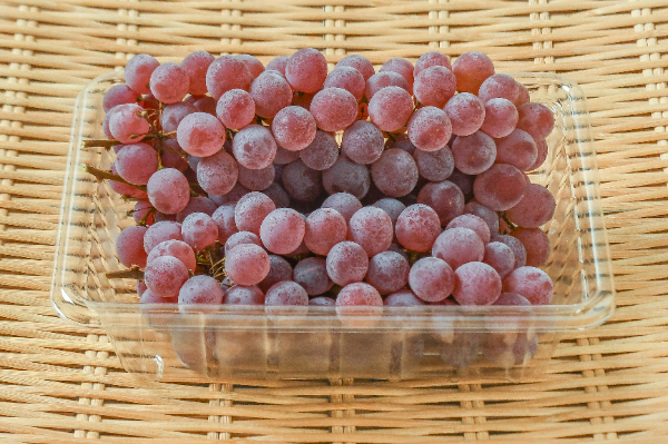 デラウェア　400gr