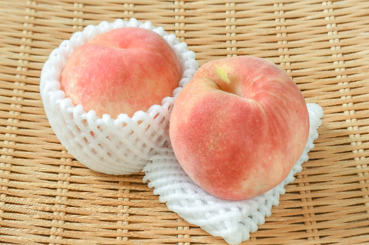 彼岸白硬桃 産地直送 彼岸白桃（特15玉サイズ） 【業務用食材の仕入れなら八面六臂】