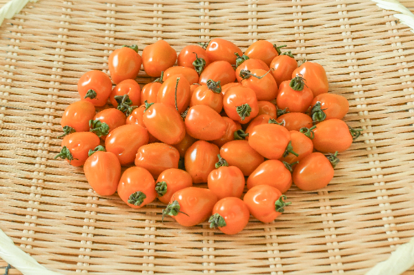 ミニトマト（マンダリンオレンジ）（小）