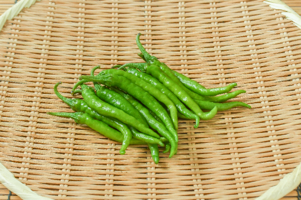 甘長ししとう　100gr