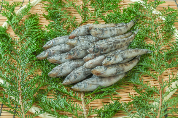有頭メヒカリ　500gr
