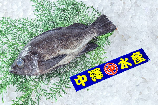 中澤水産　クロメバル