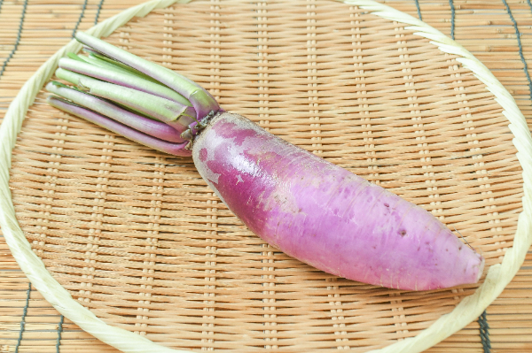 赤城しぐれ大根（S）