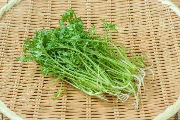 リーフマスタード（青）