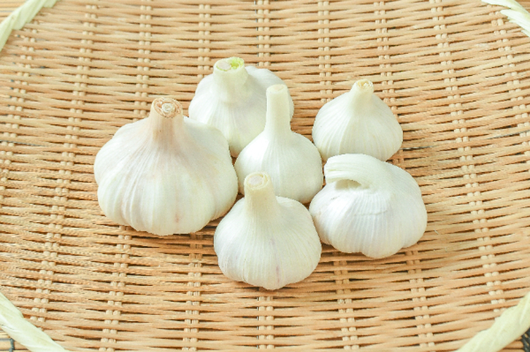 京都産新ニンニク５kg 新にんにく（丸A） 【業務用食材の仕入れなら八面六臂】