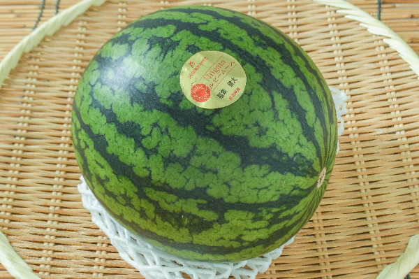 ルビームーン（秀）