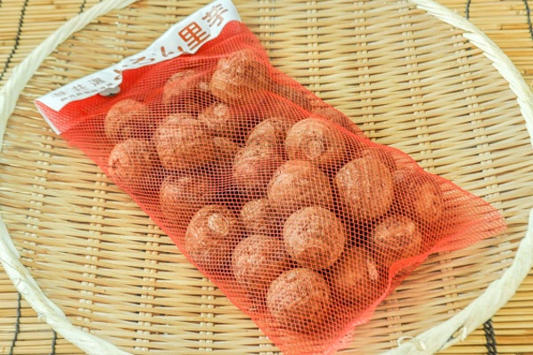 さといも類・八ツ頭芋| 種・苗・ガーデニング用品の【タキイ