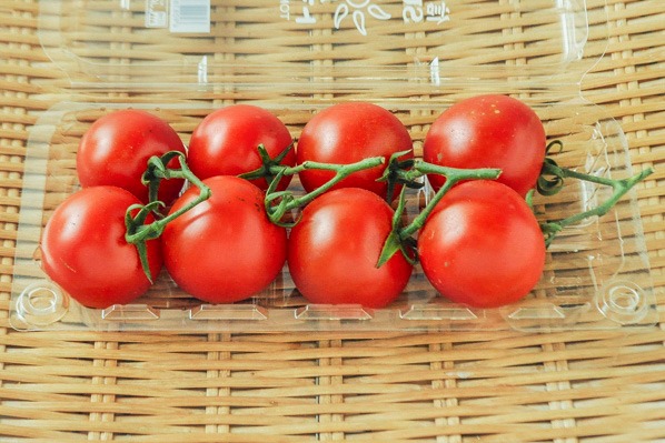 信州SUNトマト枝付（中玉）8入