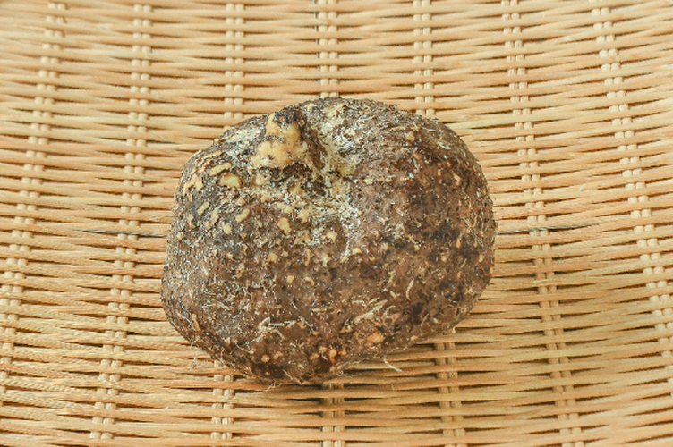 つくね芋　700gr