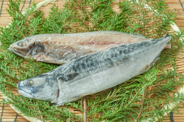 サバ文化干し（12サイズ）
