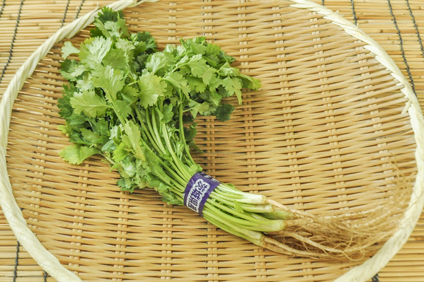 パクチー 香菜 八面六臂
