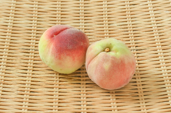 夢みずき（25玉サイズ（秀）
