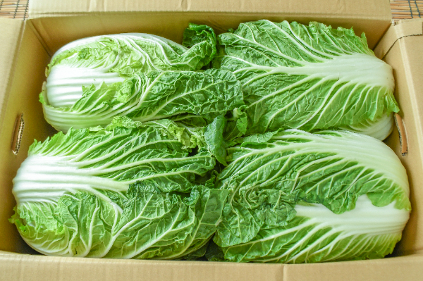 空芯菜 【業務用食材の仕入れなら八面六臂】