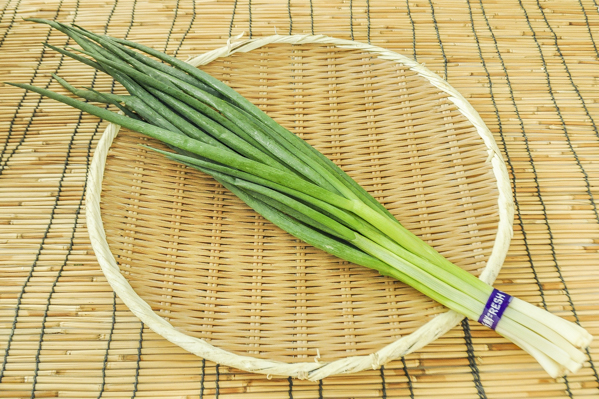 わけぎ 【八面六臂】