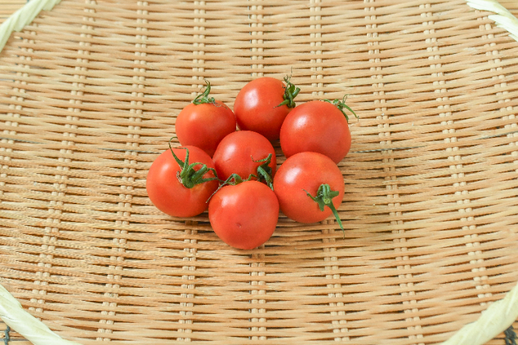 サンマルツァーノ 【業務用食材の仕入れなら八面六臂】