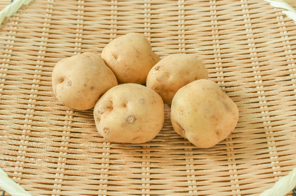 じゃがいも（L）600gr