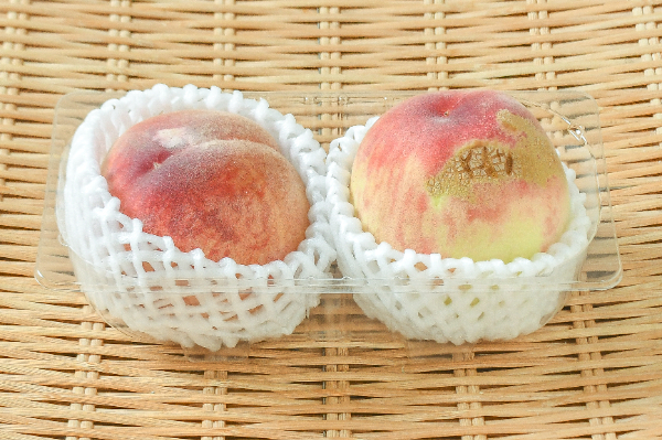 プラム（すもも） 【業務用食材の仕入れなら八面六臂】