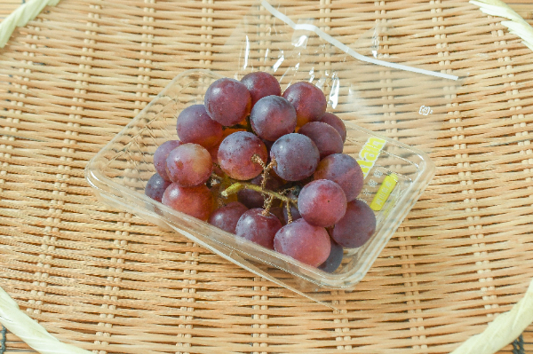 グロー・コールマン