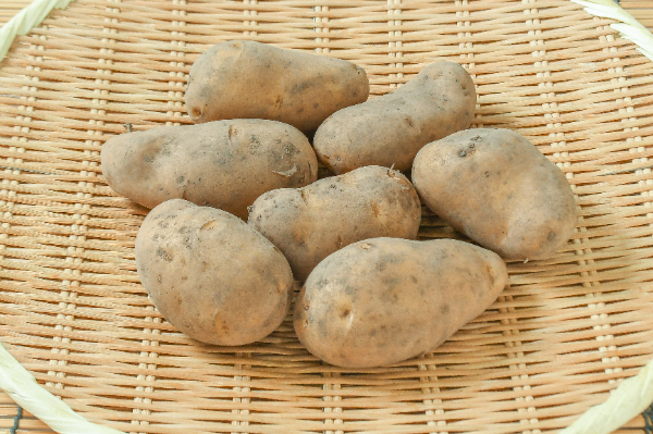 メークイン（M）1kg
