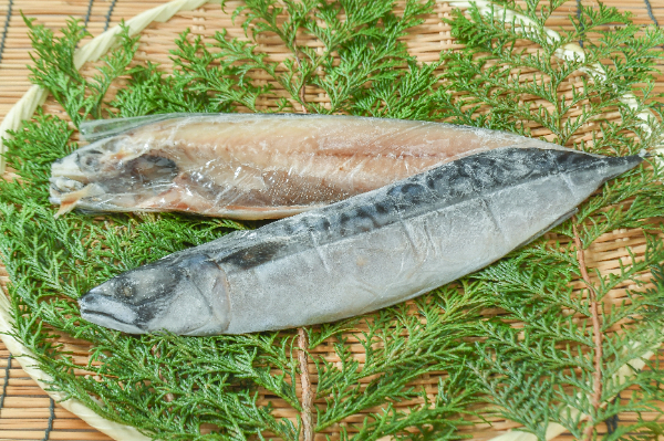 サバ文化干し（14サイズ）
