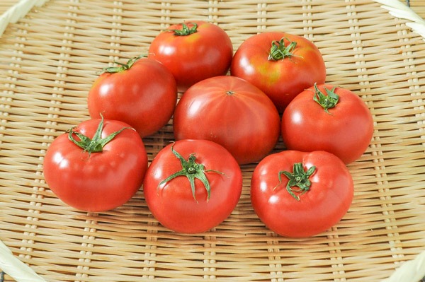 美トマト（金L）（糖度8度）900gr