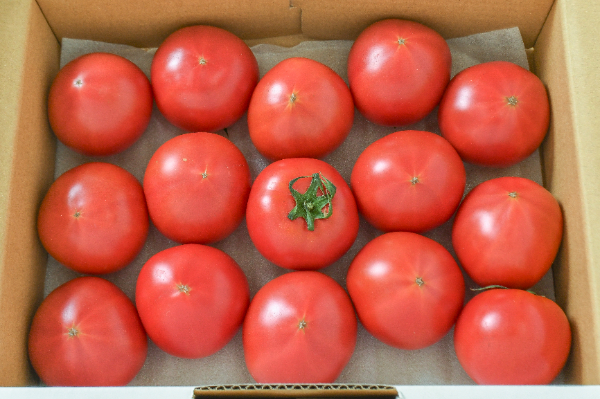 ひとりじめトマト（A2S）（15玉） 【業務用食材の仕入れなら八面六臂】