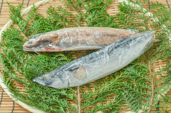 サバ文化干し（16サイズ）
