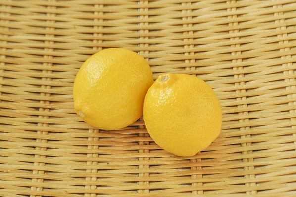 駿河屋　レモン（165玉サイズ）