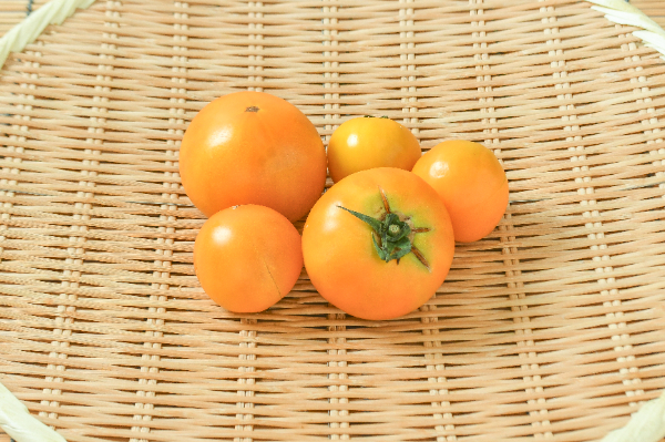 オレンジトマト（マンゴートマト）（大小込み）500gr