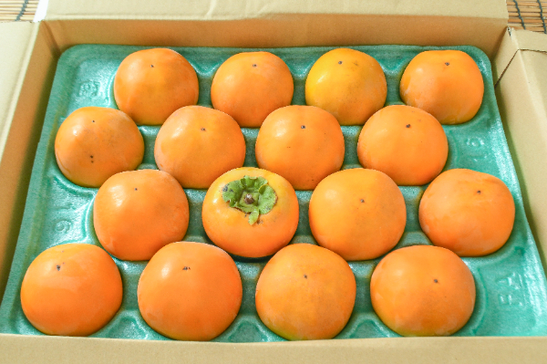 新秋（16玉サイズ）