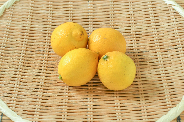 レモン（リスボン）（FG）