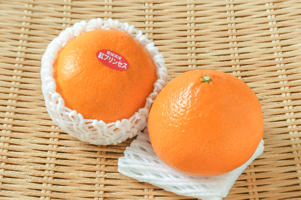 紅プリンセス（3L）（青秀） 【業務用食材の仕入れなら八面六臂】