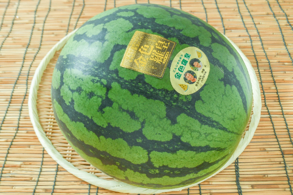 金色羅皇（秀）
