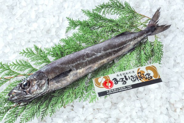 冬ブロッコリー 収穫と楽しみ方：旬の味覚を味わおう