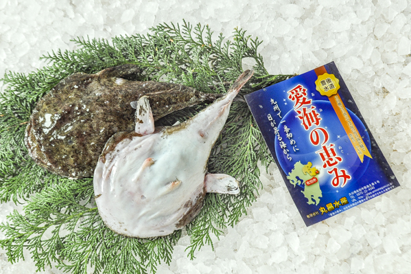 アンコウ 底曳網 八面六臂