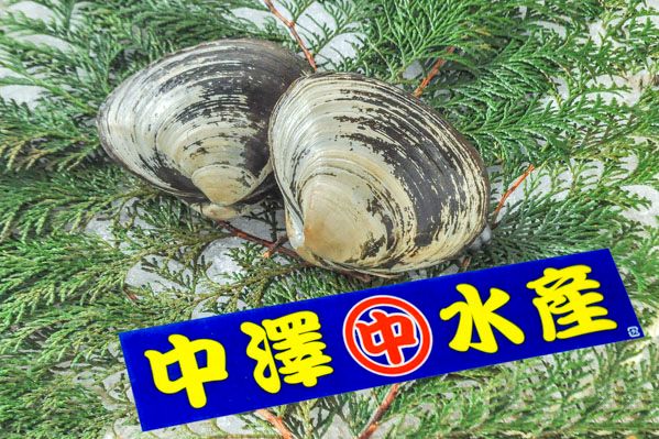 中澤水産　ホッキ貝