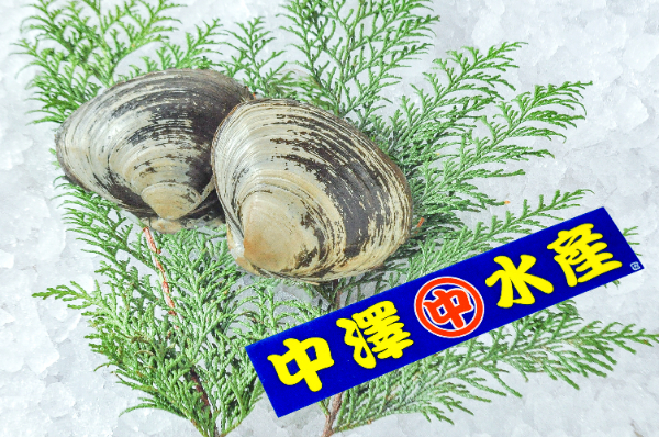 ホッキ貝