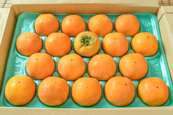 新秋（18玉サイズ）