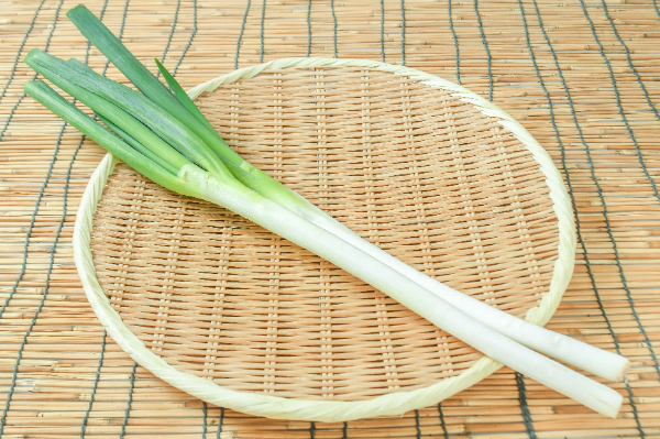 長ねぎ（AL）