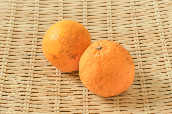 不知火（デコポン）（L） 【業務用食材の仕入れなら八面六臂】