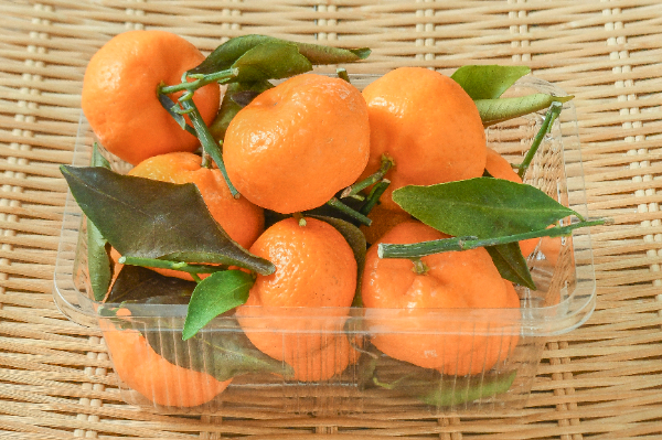 水引飾り（松竹梅） 【業務用食材の仕入れなら八面六臂】