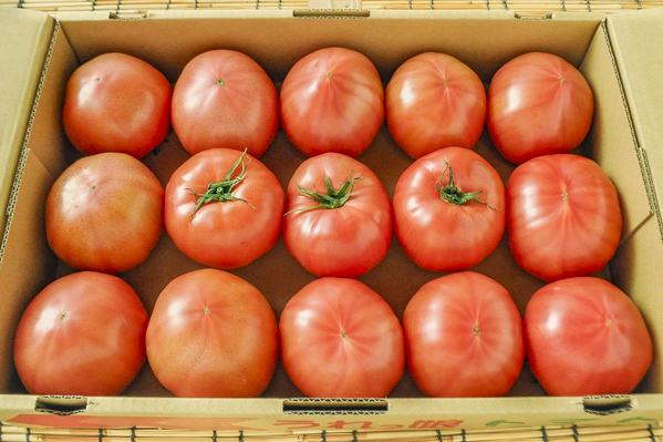 大玉トマト（2L）（15玉サイズ）
