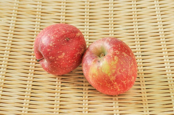 りんご（サンふじ）（56玉サイズ）（B）