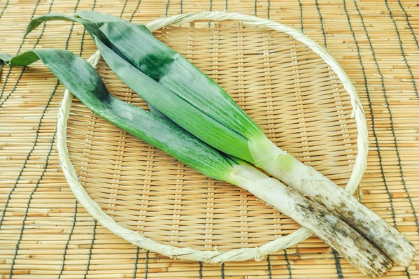 下仁田ねぎ（L）