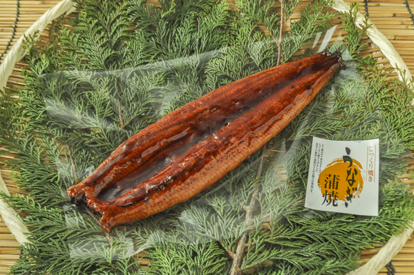 うなぎ蒲焼き　20尾サイズ
